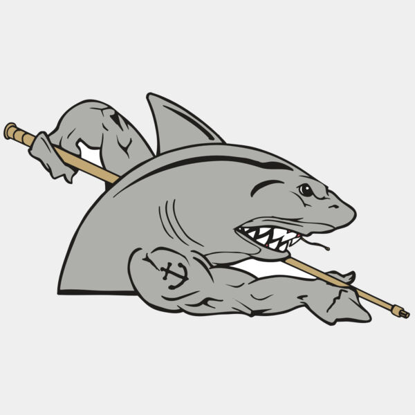 AR POOL 27 RC Thumbnail