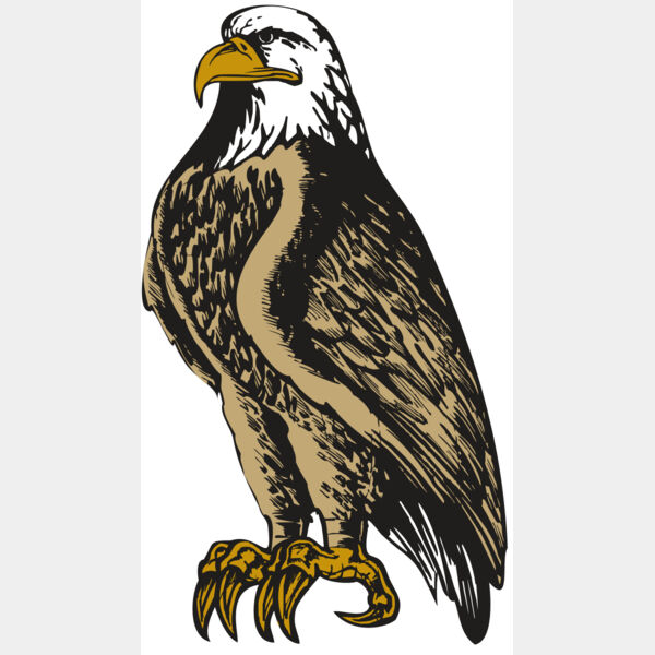 BAW EAG 02 RC Thumbnail