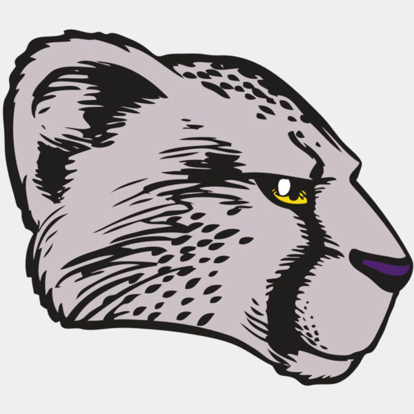 BAW CHEETAH 20 RC Thumbnail