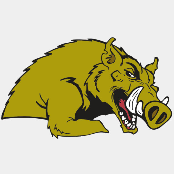 AR RAZORBACK 23 RC Thumbnail