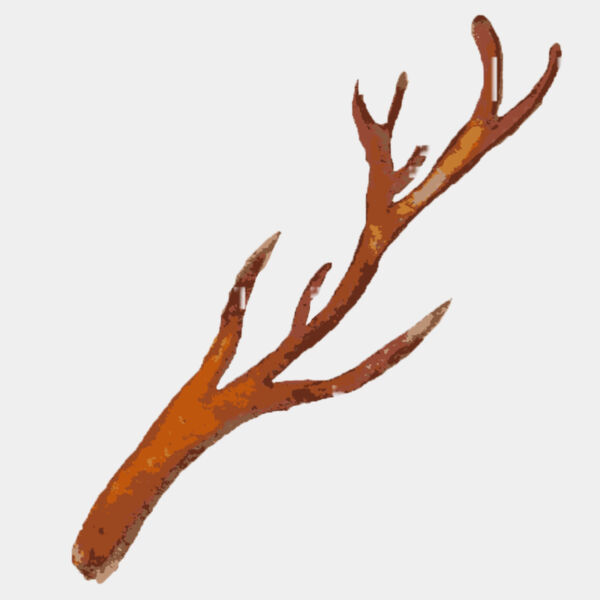 Watercolor Branch Antler 5 Thumbnail