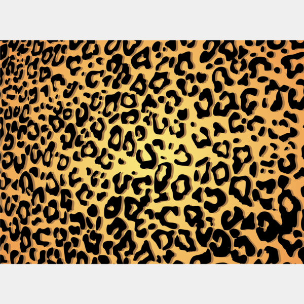 Leopard Print Spots Background 5 Thumbnail